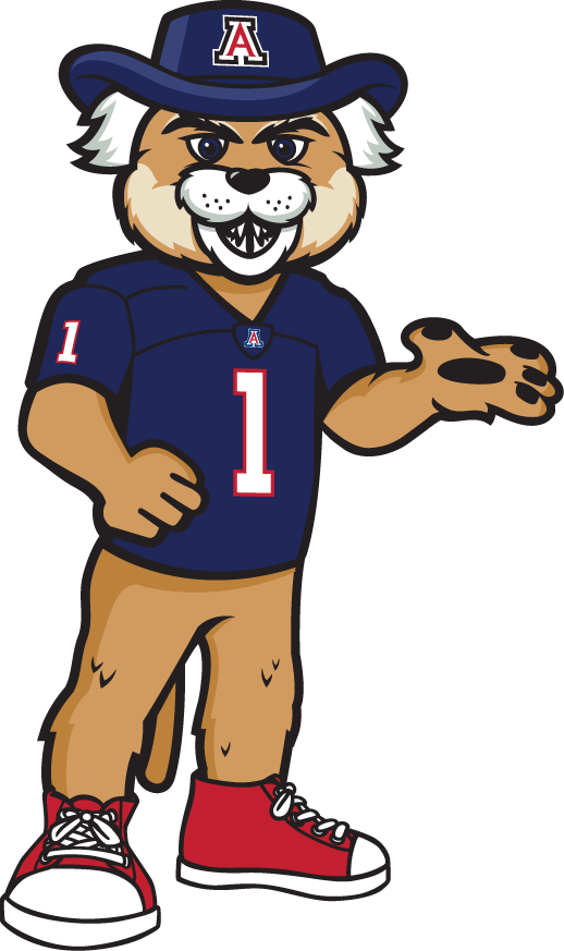 Arizona Wildcats 2013-Pres Mascot Logo v4 diy iron on heat transfer